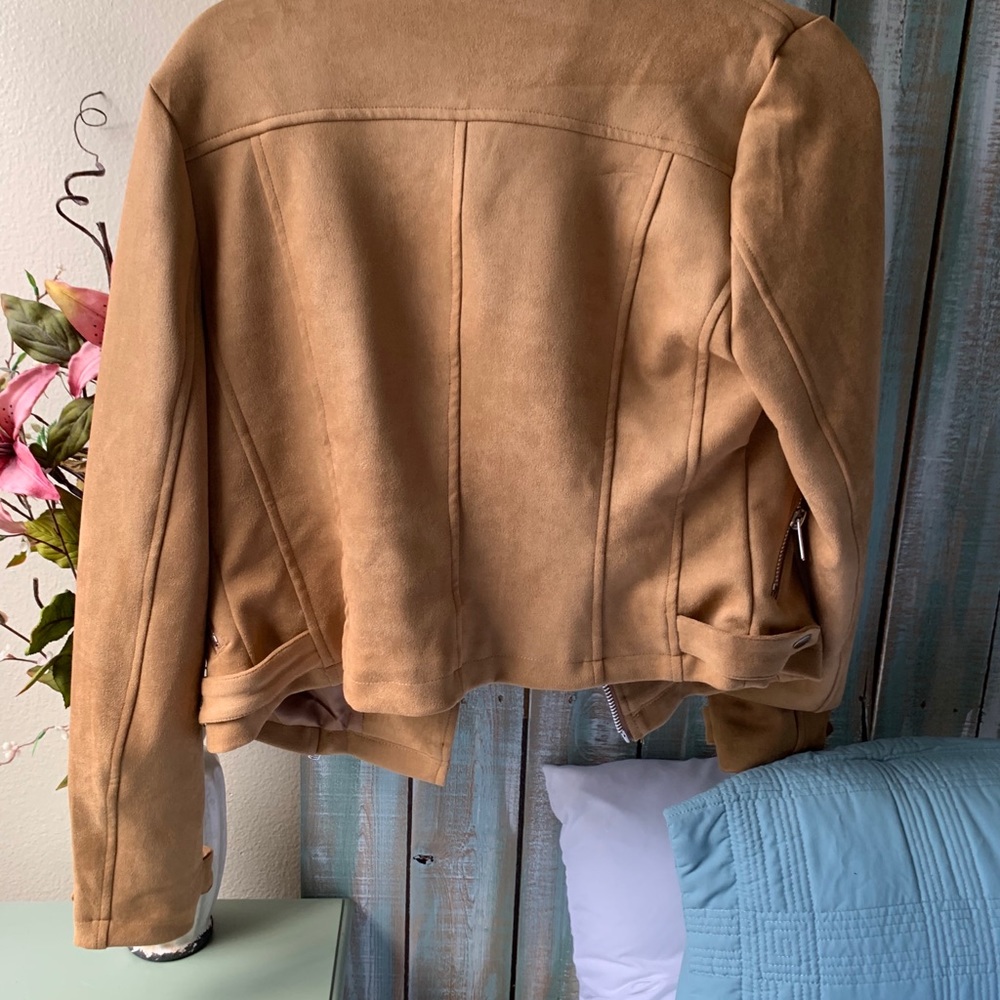 Cropped suede jacket - Picture 5 of 5